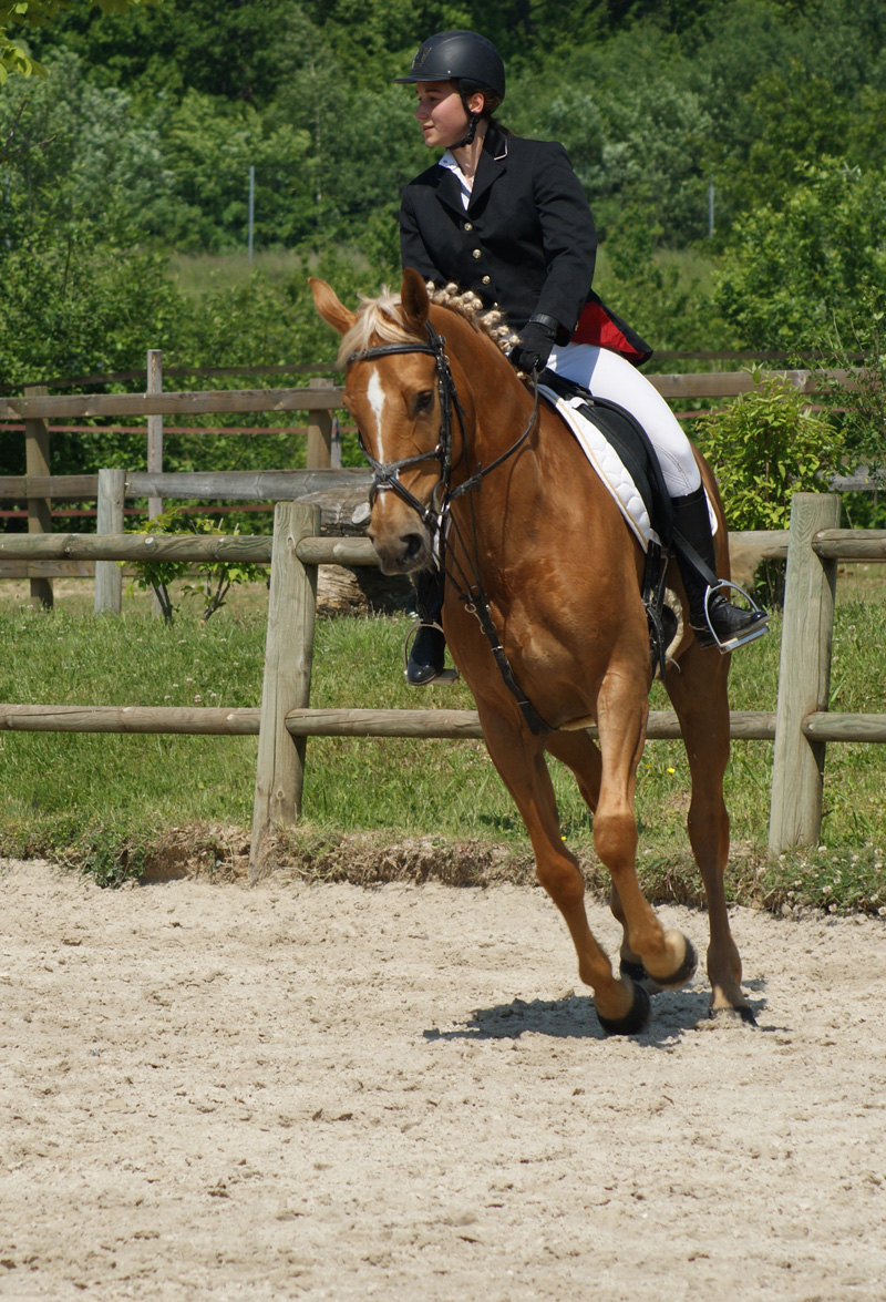 Florentine & Urfée en concours de dressage